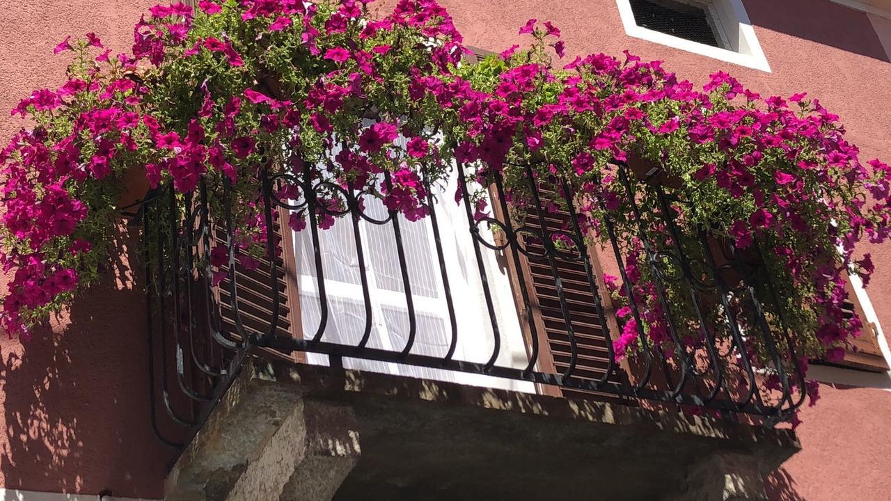 La Casa Del Colonnello Hotel Vercelli Ngoại thất bức ảnh